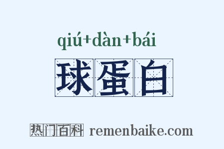 球蛋白是什么意思的图片